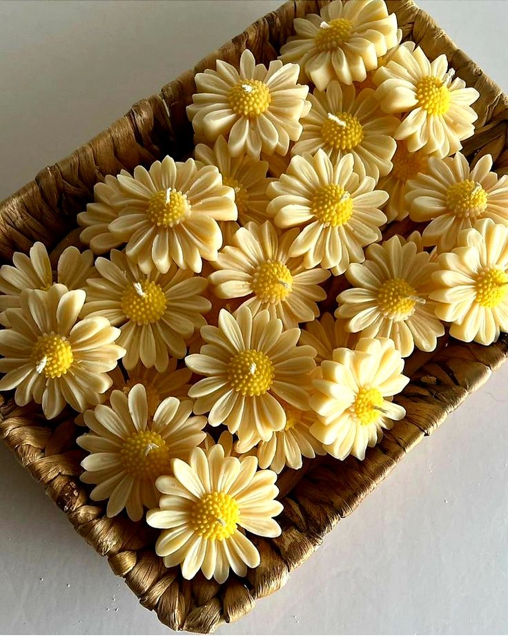floating daisy candles red eucalyptus daisy flower candles pack of 10 scented soy wax candles