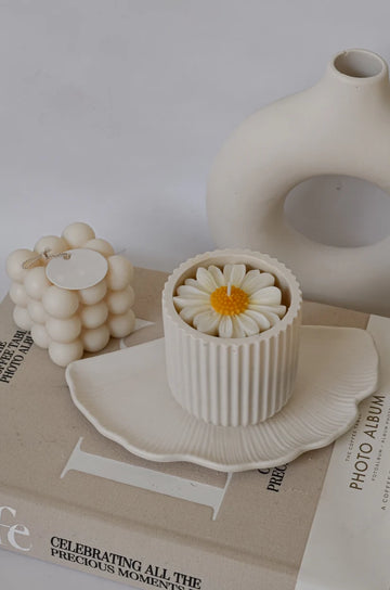 Daisy Soy Wax Candles Luxury Concrete Jar & Lid Scented Candles for Home