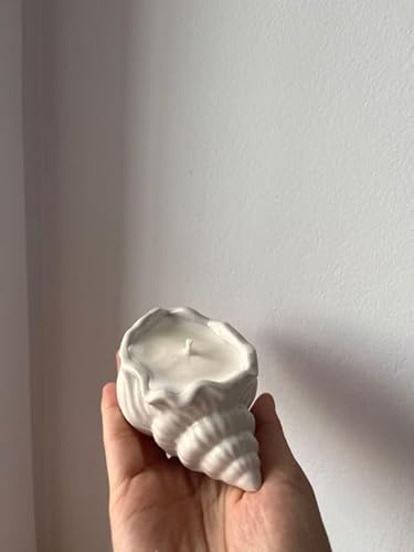 concrete sea shell candle reusable jar candle pack of 2 candle
