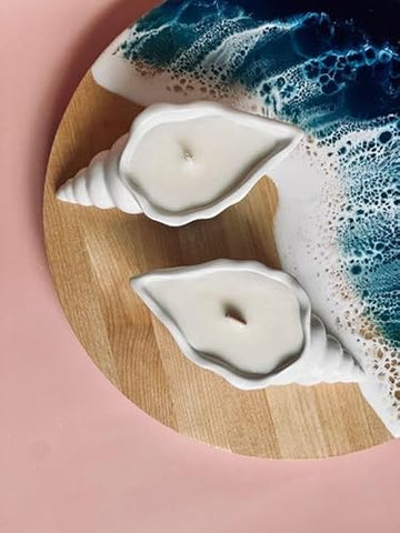 concrete sea shell candle reusable jar candle pack of 2 candle