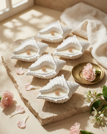 Conch shell concrete gypsum candle jar India coastal luxury vessel DIY soy wax wholesale