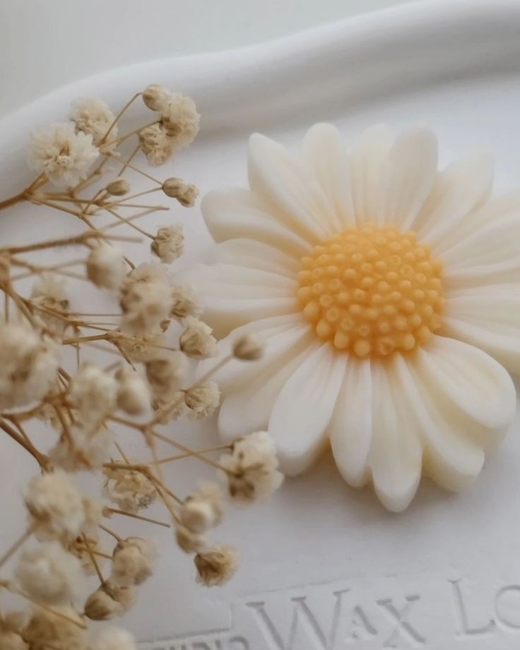 floating daisy candles red eucalyptus daisy flower candles pack of 10 scented soy wax candles