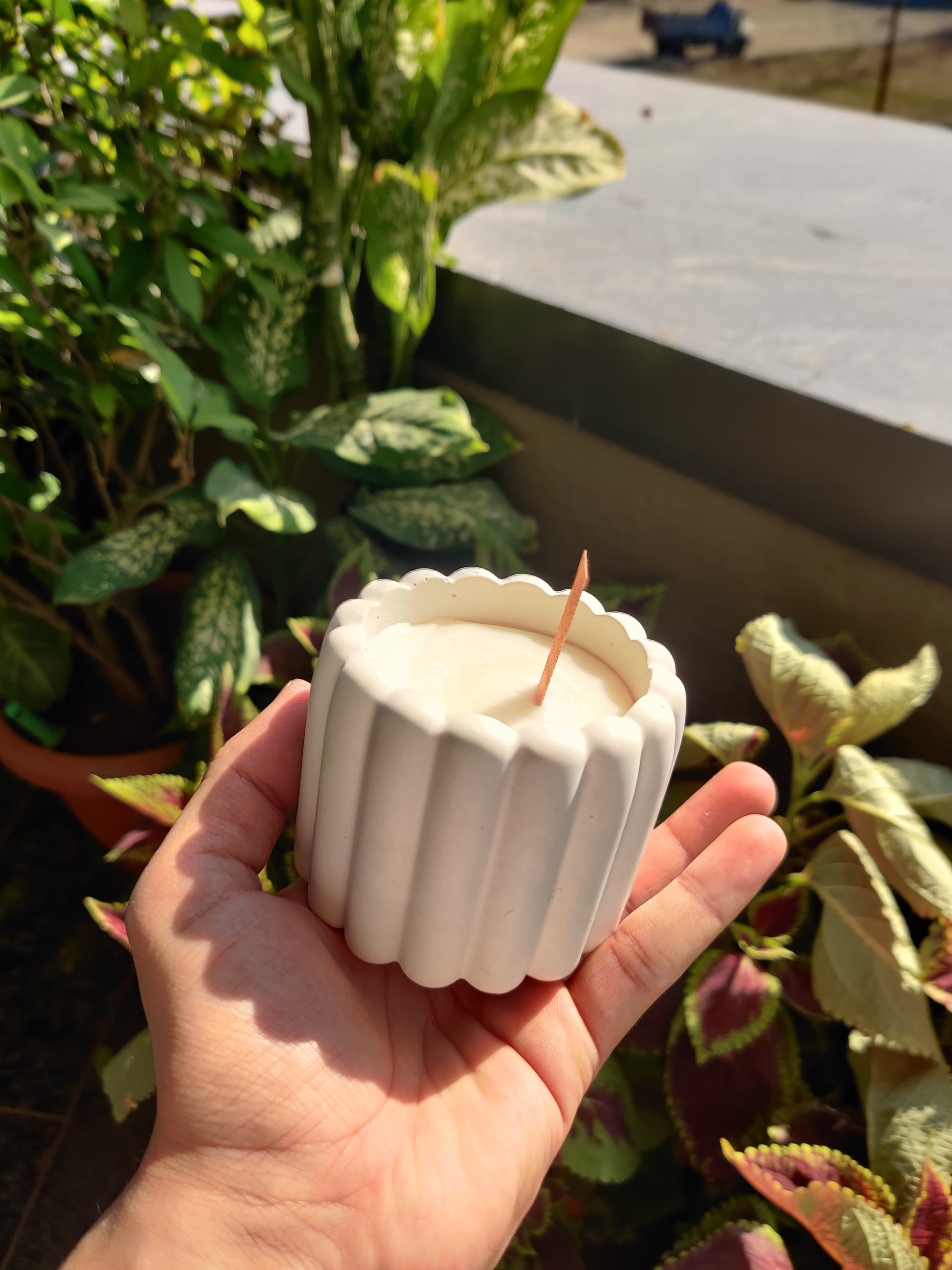citrus ribbed jar soy wax candle soy wax scented candle handmade unique container candle