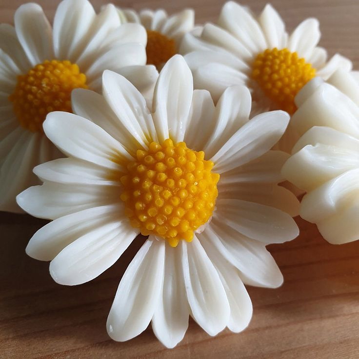 floating daisy candles red eucalyptus daisy flower candles pack of 10 scented soy wax candles