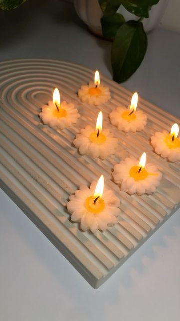 floating daisy candles red eucalyptus daisy flower candles pack of 10 scented soy wax candles